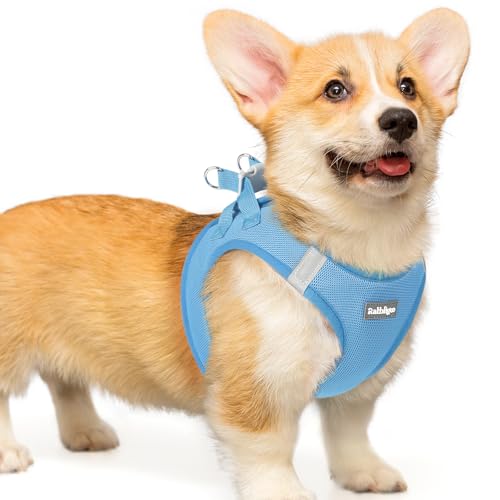 rabbitgoo Hundegeschirr kleine Hunde, Step-in Soft Mesh Hundegeschirr mit Sicherheitsverschluss, atmungsaktives und reflektierendes Haustiergeschirr für kleine Hunde, Hellblau L rabbitgoo Hundegeschirr kleine Hunde, Step-in Soft Mesh Hundegeschirr mit Sicherheitsverschluss, atmungsaktives und reflektierendes Haustiergeschirr für kleine Hunde, Hellblau L von rabbitgoo
