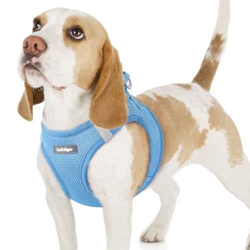 rabbitgoo Hundegeschirr kleine Hunde, Step-in Soft Mesh Hundegeschirr mit Sicherheitsverschluss, atmungsaktives und reflektierendes Haustiergeschirr für kleine Hunde, Hellblau M rabbitgoo Hundegeschirr kleine Hunde, Step-in Soft Mesh Hundegeschirr mit Sicherheitsverschluss, atmungsaktives und reflektierendes Haustiergeschirr für kleine Hunde, Hellblau M von rabbitgoo