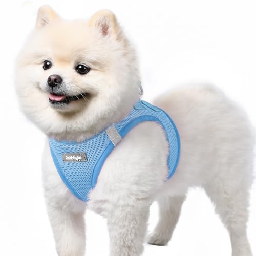 rabbitgoo Hundegeschirr kleine Hunde, Step-in Soft Mesh Hundegeschirr mit Sicherheitsverschluss, atmungsaktives und reflektierendes Haustiergeschirr für kleine Hunde, Hellblau S von rabbitgoo