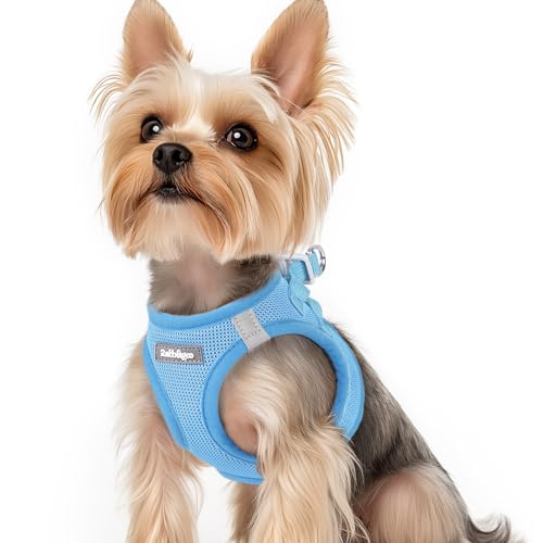 rabbitgoo Hundegeschirr kleine Hunde, Step-in Soft Mesh Hundegeschirr mit Sicherheitsverschluss, atmungsaktives und reflektierendes Haustiergeschirr für kleine Hunde, Hellblau XS rabbitgoo Hundegeschirr kleine Hunde, Step-in Soft Mesh Hundegeschirr mit Sicherheitsverschluss, atmungsaktives und reflektierendes Haustiergeschirr für kleine Hunde, Hellblau XS von rabbitgoo