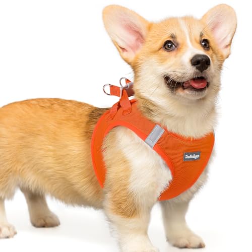 rabbitgoo Hundegeschirr kleine Hunde, Step-in Soft Mesh Hundegeschirr mit Sicherheitsverschluss, atmungsaktives und reflektierendes Haustiergeschirr für kleine Hunde, Orange L von rabbitgoo