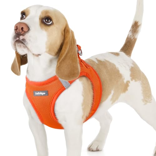 rabbitgoo Hundegeschirr kleine Hunde, Step-in Soft Mesh Hundegeschirr mit Sicherheitsverschluss, atmungsaktives und reflektierendes Haustiergeschirr für kleine Hunde, Orange M rabbitgoo Hundegeschirr kleine Hunde, Step-in Soft Mesh Hundegeschirr mit Sicherheitsverschluss, atmungsaktives und reflektierendes Haustiergeschirr für kleine Hunde, Orange M von rabbitgoo