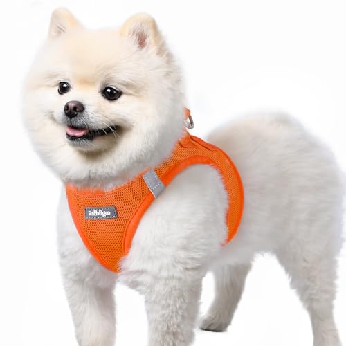 rabbitgoo Hundegeschirr kleine Hunde, Step-in Soft Mesh Hundegeschirr mit Sicherheitsverschluss, atmungsaktives und reflektierendes Haustiergeschirr für kleine Hunde, Orange S von rabbitgoo