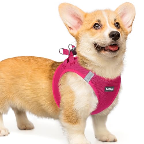 rabbitgoo Hundegeschirr kleine Hunde, Step-in Soft Mesh Hundegeschirr mit Sicherheitsverschluss, atmungsaktives und reflektierendes Haustiergeschirr für kleine Hunde, Rosarot L rabbitgoo Hundegeschirr kleine Hunde, Step-in Soft Mesh Hundegeschirr mit Sicherheitsverschluss, atmungsaktives und reflektierendes Haustiergeschirr für kleine Hunde, Rosarot L von rabbitgoo