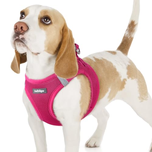 rabbitgoo Hundegeschirr kleine Hunde, Step-in Soft Mesh Hundegeschirr mit Sicherheitsverschluss, atmungsaktives und reflektierendes Haustiergeschirr für kleine Hunde, Rosarot M von rabbitgoo