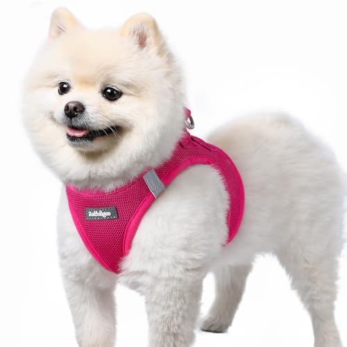 rabbitgoo Hundegeschirr kleine Hunde, Step-in Soft Mesh Hundegeschirr mit Sicherheitsverschluss, atmungsaktives und reflektierendes Haustiergeschirr für kleine Hunde, Rosarot S rabbitgoo Hundegeschirr kleine Hunde, Step-in Soft Mesh Hundegeschirr mit Sicherheitsverschluss, atmungsaktives und reflektierendes Haustiergeschirr für kleine Hunde, Rosarot S von rabbitgoo
