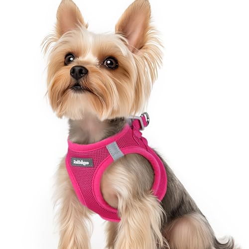 rabbitgoo Hundegeschirr kleine Hunde, Step-in Soft Mesh Hundegeschirr mit Sicherheitsverschluss, atmungsaktives und reflektierendes Haustiergeschirr für kleine Hunde, Rosarot XS rabbitgoo Hundegeschirr kleine Hunde, Step-in Soft Mesh Hundegeschirr mit Sicherheitsverschluss, atmungsaktives und reflektierendes Haustiergeschirr für kleine Hunde, Rosarot XS von rabbitgoo