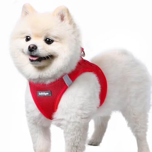 rabbitgoo Hundegeschirr kleine Hunde, Step-in Soft Mesh Hundegeschirr mit Sicherheitsverschluss, atmungsaktives und reflektierendes Welpengeschir für kleine Hunde, Rot S rabbitgoo Hundegeschirr kleine Hunde, Step-in Soft Mesh Hundegeschirr mit Sicherheitsverschluss, atmungsaktives und reflektierendes Welpengeschir für kleine Hunde, Rot S von rabbitgoo