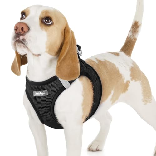 rabbitgoo Hundegeschirr kleine Hunde, Step-in Soft Mesh Hundegeschirr mit Sicherheitsverschluss, atmungsaktives und reflektierendes Welpengeschir für kleine Hunde, Schwarz M rabbitgoo Hundegeschirr kleine Hunde, Step-in Soft Mesh Hundegeschirr mit Sicherheitsverschluss, atmungsaktives und reflektierendes Welpengeschir für kleine Hunde, Schwarz M von rabbitgoo