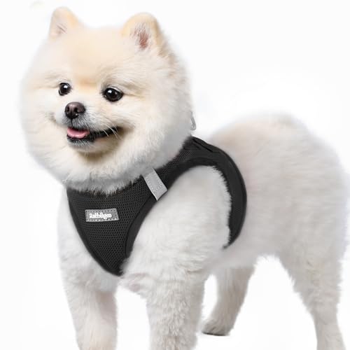 rabbitgoo Hundegeschirr kleine Hunde, Step-in Soft Mesh Hundegeschirr mit Sicherheitsverschluss, atmungsaktives und reflektierendes Welpengeschir für kleine Hunde, Schwarz S rabbitgoo Hundegeschirr kleine Hunde, Step-in Soft Mesh Hundegeschirr mit Sicherheitsverschluss, atmungsaktives und reflektierendes Welpengeschir für kleine Hunde, Schwarz S von rabbitgoo