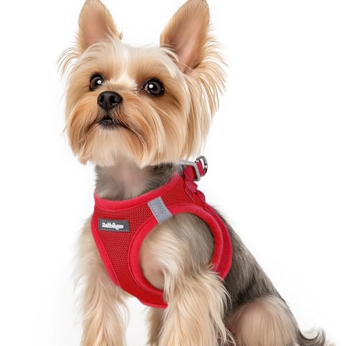 rabbitgoo Hundegeschirr kleine Hunde, Step-in Soft Mesh Hundegeschirr mit Sicherheitsverschluss, atmungsaktives und reflektierendes Welpengeschirr für kleine Hunde, Rot XS rabbitgoo Hundegeschirr kleine Hunde, Step-in Soft Mesh Hundegeschirr mit Sicherheitsverschluss, atmungsaktives und reflektierendes Welpengeschirr für kleine Hunde, Rot XS von rabbitgoo
