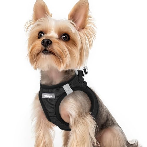 rabbitgoo Hundegeschirr kleine Hunde, Step-in Soft Mesh Hundegeschirr mit Sicherheitsverschluss, atmungsaktives und reflektierendes Welpengeschirr für kleine Hunde, Schwarz XS rabbitgoo Hundegeschirr kleine Hunde, Step-in Soft Mesh Hundegeschirr mit Sicherheitsverschluss, atmungsaktives und reflektierendes Welpengeschirr für kleine Hunde, Schwarz XS von rabbitgoo