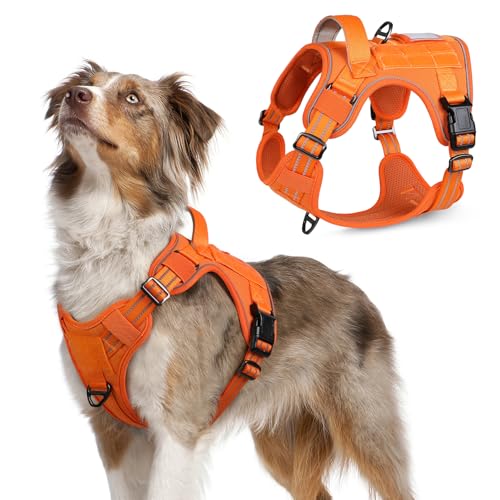 rabbitgoo Hundegeschirr mittelgroße Hunde, Anti Zug Geschirr Hund Verstellbar mit Griffe Verbreitert, Robust und Verschleißfest, Taktisches Hundegeschirr mit Metallschnallen zum Wandern(M, Orange) von rabbitgoo