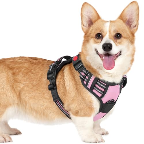 rabbitgoo Hundegeschirr Kleine Hunde, Verstellbare Geschirr Hund ohne Zug & Würgen, Anti Zug hundegeschirr mit Griff, weich Gepolsterte Reflektierende Brustgeschirr, Rosa S rabbitgoo Hundegeschirr Kleine Hunde, Verstellbare Geschirr Hund ohne Zug & Würgen, Anti Zug hundegeschirr mit Griff, weich Gepolsterte Reflektierende Brustgeschirr, Rosa S von rabbitgoo