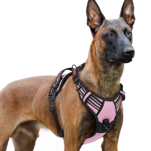 rabbitgoo Hundegeschirr Grosse Hunde, Verstellbare Geschirr Hund ohne Zug & Würgen, Anti Zug hundegeschirr mit Griff, weich Gepolsterte Reflektierende Brustgeschirr, Rosa XL rabbitgoo Hundegeschirr Grosse Hunde, Verstellbare Geschirr Hund ohne Zug & Würgen, Anti Zug hundegeschirr mit Griff, weich Gepolsterte Reflektierende Brustgeschirr, Rosa XL von rabbitgoo