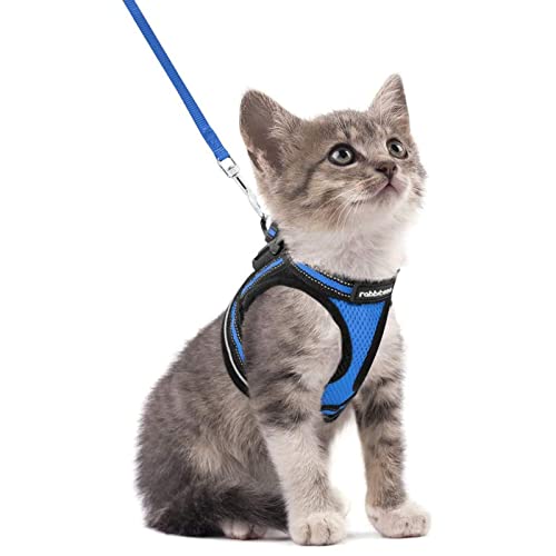 rabbitgoo Katzengeschirr Katzenleine Set Katzengeschirr mit Leine Geschirr Katzen ausbruchsicher verstellbar weich mit reflektierenden Streifen für Katzen Kitten Welpen Cat Harness Leash Blau S rabbitgoo Katzengeschirr Katzenleine Set Katzengeschirr mit Leine Geschirr Katzen ausbruchsicher verstellbar weich mit reflektierenden Streifen für Katzen Kitten Welpen Cat Harness Leash Blau S von rabbitgoo