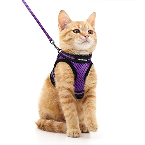 rabbitgoo Katzengeschirr Katzenleine Set Katzengeschirr mit Leine Geschirr Katzen ausbruchsicher verstellbar weich mit reflektierenden Streifen für Katzen Kitten Welpen Cat Harness Leash Lila M rabbitgoo Katzengeschirr Katzenleine Set Katzengeschirr mit Leine Geschirr Katzen ausbruchsicher verstellbar weich mit reflektierenden Streifen für Katzen Kitten Welpen Cat Harness Leash Lila M von rabbitgoo