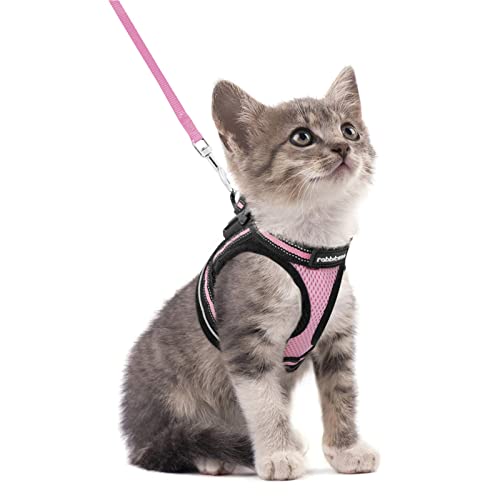rabbitgoo Katzengeschirr Katzenleine Set Katzengeschirr mit Leine Geschirr Katzen ausbruchsicher verstellbar weich mit reflektierenden Streifen für Katzen Kitten Welpen Cat Harness Leash Rosa S rabbitgoo Katzengeschirr Katzenleine Set Katzengeschirr mit Leine Geschirr Katzen ausbruchsicher verstellbar weich mit reflektierenden Streifen für Katzen Kitten Welpen Cat Harness Leash Rosa S von rabbitgoo