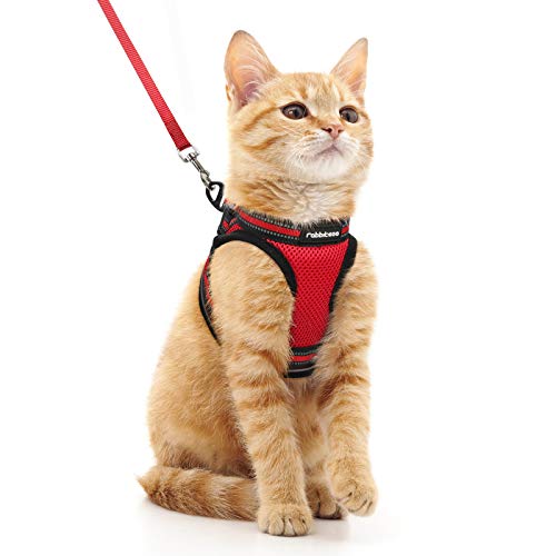 rabbitgoo Katzengeschirr Katzenleine Set Katzengeschirr mit Leine Geschirr Katzen ausbruchsicher verstellbar weich mit reflektierenden Streifen für Katzen Kitten Welpen Cat Harness Leash Rot M von rabbitgoo