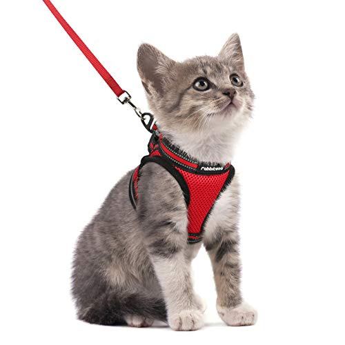 rabbitgoo Katzengeschirr Katzenleine Set Katzengeschirr mit Leine Geschirr Katzen ausbruchsicher verstellbar weich mit reflektierenden Streifen für Katzen Kitten Welpen Cat Harness Leash Rot S rabbitgoo Katzengeschirr Katzenleine Set Katzengeschirr mit Leine Geschirr Katzen ausbruchsicher verstellbar weich mit reflektierenden Streifen für Katzen Kitten Welpen Cat Harness Leash Rot S von rabbitgoo
