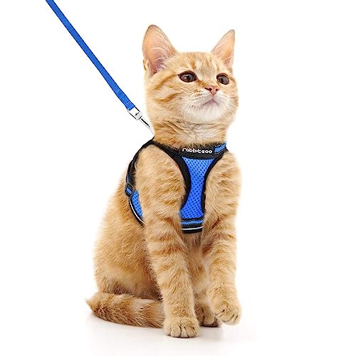 rabbitgoo Katzengeschirr Katzenleine Set Katzengeschirr mit Leine Geschirr Katzen ausbruchsicher verstellbar weich mit reflektierenden Streifen für Katzen Kitten Welpen Cat Harness Leash Blau M von rabbitgoo