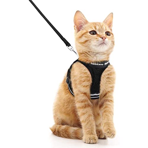 rabbitgoo Katzengeschirr Leine Set Geschirr für Katzen ausbruchsicher Katzenleine Kitten verstellbar weich Kätzchenweste mit reflektierenden Streifen für extra kleine kleine Katzen Cat Harness von rabbitgoo