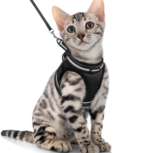 rabbitgoo Katzengeschirr mit Leine Ausbruchsicher, Katzenleine mit Geschirr für Katzen, Katzengeschirr Kitten Verstellbar Weich Kätzchenweste mit Reflektierenden Streifen Cat Harness Schwarz XL rabbitgoo Katzengeschirr mit Leine Ausbruchsicher, Katzenleine mit Geschirr für Katzen, Katzengeschirr Kitten Verstellbar Weich Kätzchenweste mit Reflektierenden Streifen Cat Harness Schwarz XL von rabbitgoo