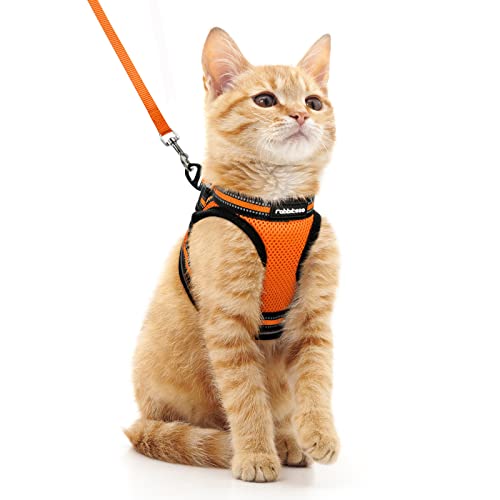 rabbitgoo Katzengeschirr mit Leine Ausbruchsicher, Katzenleine mit Geschirr für Katzen, Katzengeschirr Kitten Verstellbar Weich Kätzchenweste mit Reflektierenden Streifen Orange M rabbitgoo Katzengeschirr mit Leine Ausbruchsicher, Katzenleine mit Geschirr für Katzen, Katzengeschirr Kitten Verstellbar Weich Kätzchenweste mit Reflektierenden Streifen Orange M von rabbitgoo