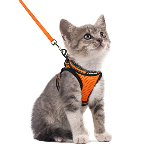 rabbitgoo Katzengeschirr mit Leine Ausbruchsicher, Katzenleine mit Geschirr für Katzen, Katzengeschirr Kitten Verstellbar Weich Kätzchenweste mit Reflektierenden Streifen Orange S rabbitgoo Katzengeschirr mit Leine Ausbruchsicher, Katzenleine mit Geschirr für Katzen, Katzengeschirr Kitten Verstellbar Weich Kätzchenweste mit Reflektierenden Streifen Orange S von rabbitgoo