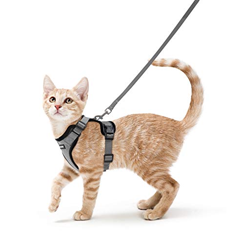 rabbitgoo Katzengeschirr mit Leine Ausbruchsicher Katzenleine Kitten Welpengeschirr Verstellbar Cat Harness Weich Brustgeschirr für Katzen kleine Hunde Kaninchen Reflektierend Katzenweste Grau S von rabbitgoo