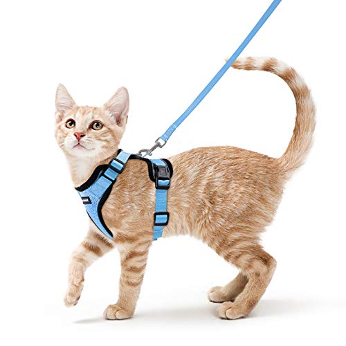 rabbitgoo Katzengeschirr mit Leine Ausbruchsicher Katzenleine Kitten Welpengeschirr Verstellbar Cat Harness Weich Brustgeschirr für Katzen kleine Hunde Kaninchen Reflektierend Streife Hellblau S von rabbitgoo