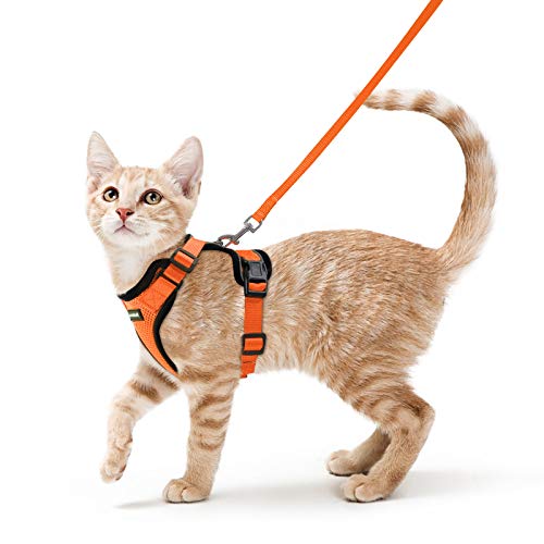 rabbitgoo Katzengeschirr mit Leine Ausbruchsicher Katzenleine Kitten Welpengeschirr Verstellbar Cat Harness Weich Brustgeschirr für Katzen kleine Hunde Kaninchen Reflektierend Streife Orange XS von rabbitgoo