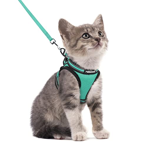 rabbitgoo Katzengeschirr mit Leine Geschirr Katzen ausbruchsicher verstellbar weich mit reflektierenden Streifen für Katzen Kitten Grün S rabbitgoo Katzengeschirr mit Leine Geschirr Katzen ausbruchsicher verstellbar weich mit reflektierenden Streifen für Katzen Kitten Grün S von rabbitgoo