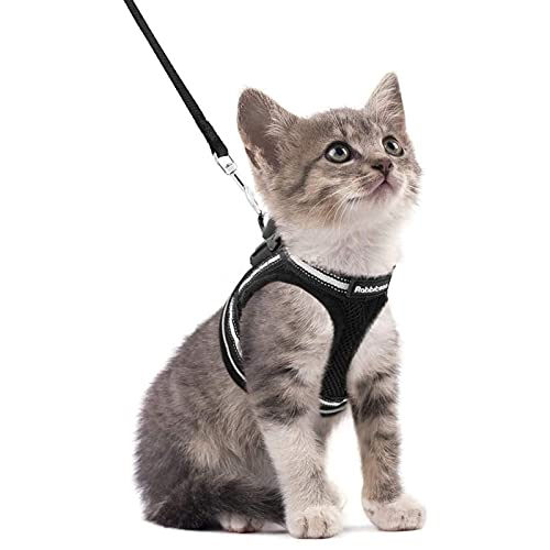 rabbitgoo Katzengeschirr Leine Set Geschirr für Katzen ausbruchsicher Katzenleine Kitten verstellbar weich Kätzchenweste mit reflektierenden Streifen für extra kleine kleine Katzen Cat Harness von rabbitgoo