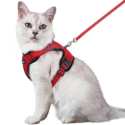 rabbitgoo Katzengeschirr mit Leine Rot Softgeschirr für Katze Brustgeschirr Cat Harness Katzengarnitur ausbruchsicher verstellbar Katzenweste Rot M von rabbitgoo