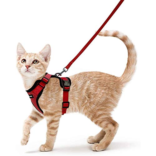 rabbitgoo Katzengeschirr mit Leine Rot Softgeschirr für Katze Brustgeschirr Cat Harness Katzengarnitur ausbruchsicher verstellbar Katzenweste Rot S von rabbitgoo