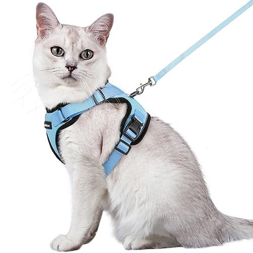 rabbitgoo Katzengeschirr mit Leine Softgeschirr für Katze Brustgeschirr Cat Harness Katzengarnitur ausbruchsicher verstellbar Katzenweste Hellblau M von rabbitgoo