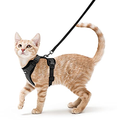 rabbitgoo Katzengeschirr mit Leine Schwarz Softgeschirr für Katze Brustgeschirr Cat Harness Katzengarnitur ausbruchsicher verstellbar Katzenweste Schwarz XS von rabbitgoo