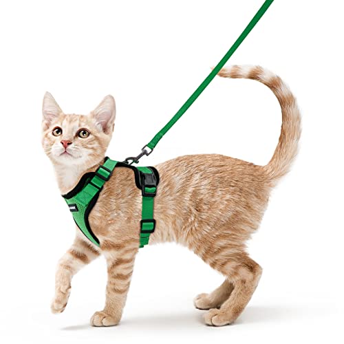 rabbitgoo Katzengeschirr mit Leine Softgeschirr für Katze Brustgeschirr Cat Harness Katzengarnitur ausbruchsicher verstellbar Katzenweste Grasgrün XS rabbitgoo Katzengeschirr mit Leine Softgeschirr für Katze Brustgeschirr Cat Harness Katzengarnitur ausbruchsicher verstellbar Katzenweste Grasgrün XS von rabbitgoo