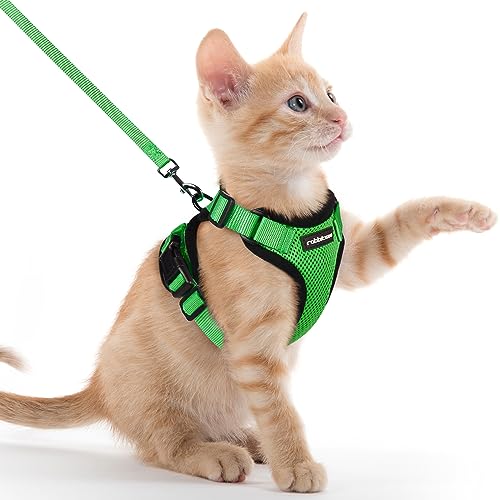 rabbitgoo Katzengeschirr mit Leine Softgeschirr für Katze Brustgeschirr Cat Harness Katzengarnitur ausbruchsicher verstellbar Katzenweste Grasgrün XXS rabbitgoo Katzengeschirr mit Leine Softgeschirr für Katze Brustgeschirr Cat Harness Katzengarnitur ausbruchsicher verstellbar Katzenweste Grasgrün XXS von rabbitgoo