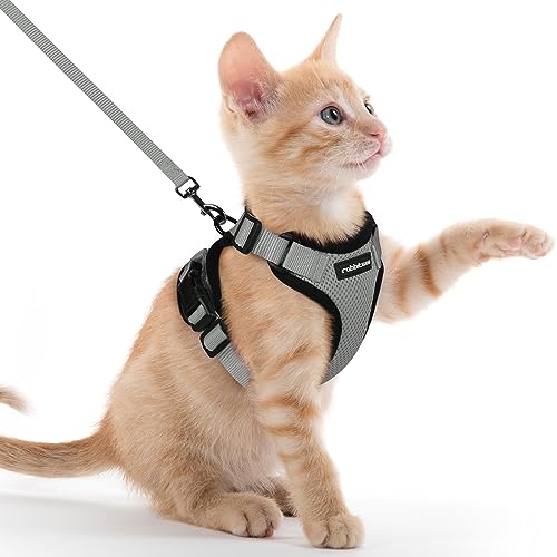 rabbitgoo Katzengeschirr mit Leine Softgeschirr für Katze Brustgeschirr Cat Harness Katzengarnitur ausbruchsicher verstellbar Katzenweste Grau XXS von rabbitgoo