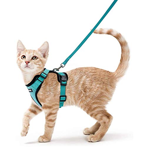 rabbitgoo Katzengeschirr mit Leine Softgeschirr für Katze Brustgeschirr Cat Harness Katzengarnitur ausbruchsicher verstellbar Katzenweste Grün XS von rabbitgoo