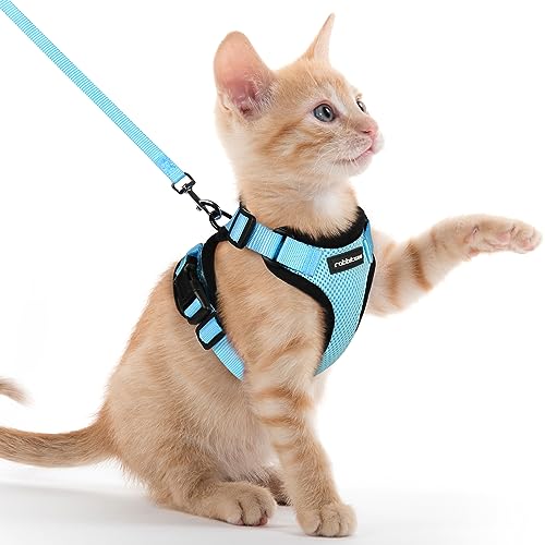 rabbitgoo Katzengeschirr mit Leine Softgeschirr für Katze Brustgeschirr Cat Harness Katzengarnitur ausbruchsicher verstellbar Katzenweste Hellblau XXS von rabbitgoo