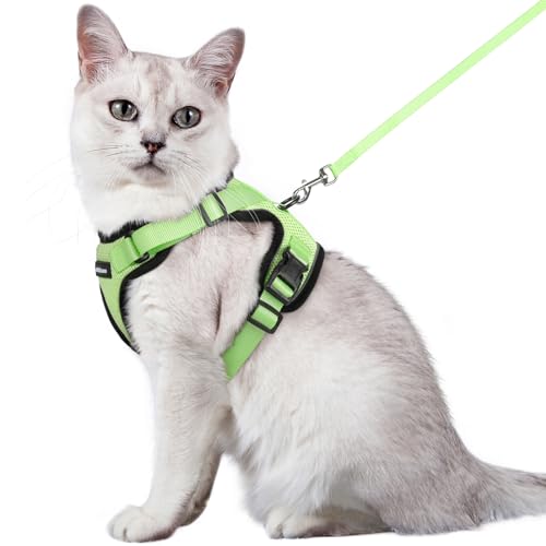 rabbitgoo Katzengeschirr mit Leine Softgeschirr für Katze Brustgeschirr Cat Harness Katzengarnitur ausbruchsicher verstellbar Katzenweste Hellgrün M rabbitgoo Katzengeschirr mit Leine Softgeschirr für Katze Brustgeschirr Cat Harness Katzengarnitur ausbruchsicher verstellbar Katzenweste Hellgrün M von rabbitgoo