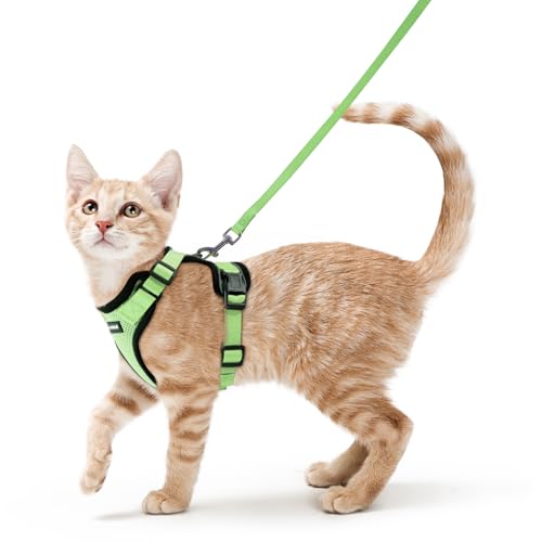 rabbitgoo Katzengeschirr mit Leine Softgeschirr für Katze Brustgeschirr Cat Harness Katzengarnitur ausbruchsicher verstellbar Katzenweste Hellgrün XS rabbitgoo Katzengeschirr mit Leine Softgeschirr für Katze Brustgeschirr Cat Harness Katzengarnitur ausbruchsicher verstellbar Katzenweste Hellgrün XS von rabbitgoo