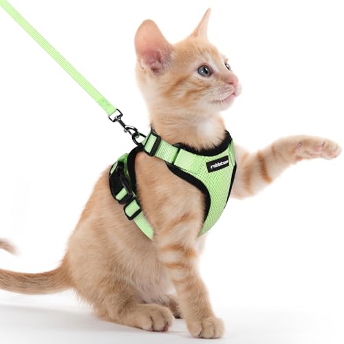 rabbitgoo Katzengeschirr mit Leine Softgeschirr für Katze Brustgeschirr Cat Harness Katzengarnitur ausbruchsicher verstellbar Katzenweste Hellgrün XXS rabbitgoo Katzengeschirr mit Leine Softgeschirr für Katze Brustgeschirr Cat Harness Katzengarnitur ausbruchsicher verstellbar Katzenweste Hellgrün XXS von rabbitgoo