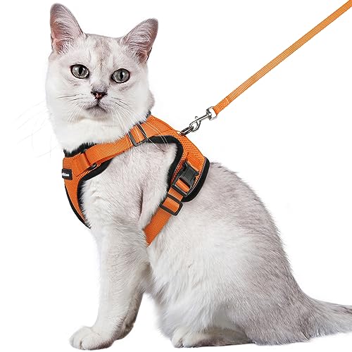 rabbitgoo Katzengeschirr mit Leine Softgeschirr für Katze Brustgeschirr Cat Harness Katzengarnitur ausbruchsicher verstellbar Katzenweste Orange M von rabbitgoo