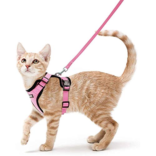 rabbitgoo Katzengeschirr mit Leine Softgeschirr für Katze Brustgeschirr Cat Harness Katzengarnitur ausbruchsicher verstellbar Katzenweste Rosa S von rabbitgoo