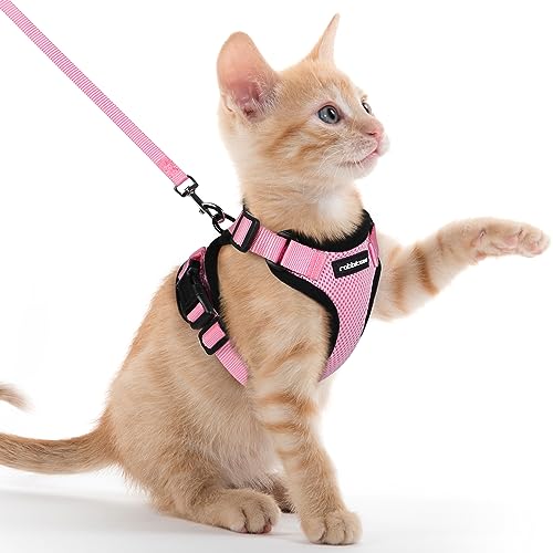 rabbitgoo Katzengeschirr mit Leine Softgeschirr für Katze Brustgeschirr Cat Harness Katzengarnitur ausbruchsicher verstellbar Katzenweste Rosa XXS von rabbitgoo