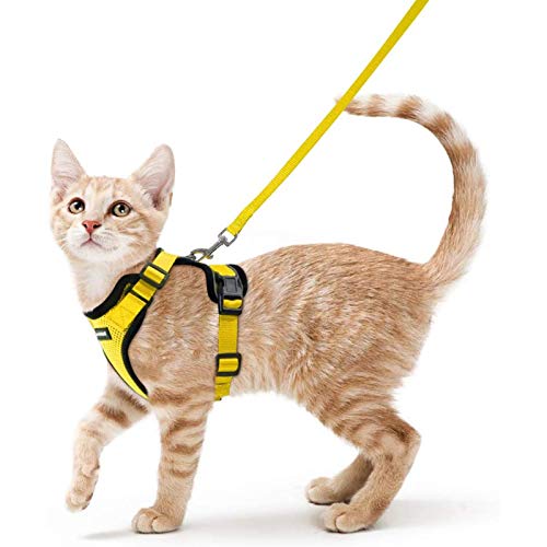 rabbitgoo Katzengeschirr mit Leine Softgeschirr für Katze Brustgeschirr Cat Harness Katzengarnitur ausbruchsicher verstellbar Katzenweste Gelb S von rabbitgoo